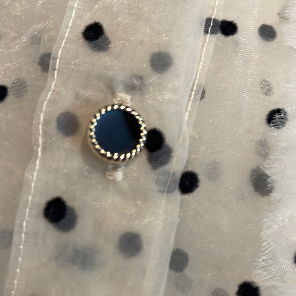 Shirt Zara sheer fabric size medium with ruffles and velvety polk a dots - Picture 6 of 6